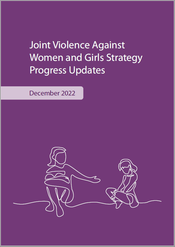 Front cover - Joint Violence Against Women and Girls Strategy - Progress Updates