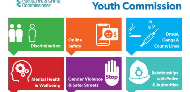 Youth Commission priorities