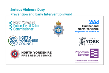 Prevention and Early Intervention Fund