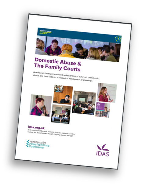 Download the Domestic Abuse and Family Courts report