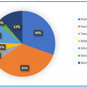 Pie chart - People who victims told