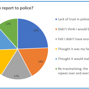 Pie chart - Reasons for not reporting to police