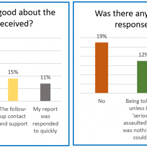 Pie chart - details in text - Good and bad responses