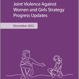 Front cover - Joint Violence Against Women and Girls Strategy - Progress Updates