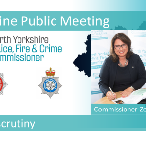 Online Public Meeting