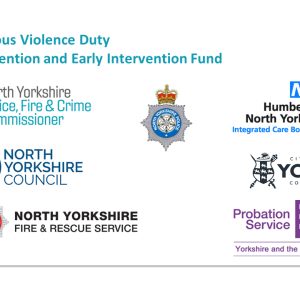 Prevention and Early Intervention Fund