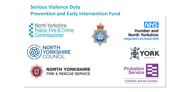 Prevention and Early Intervention Fund