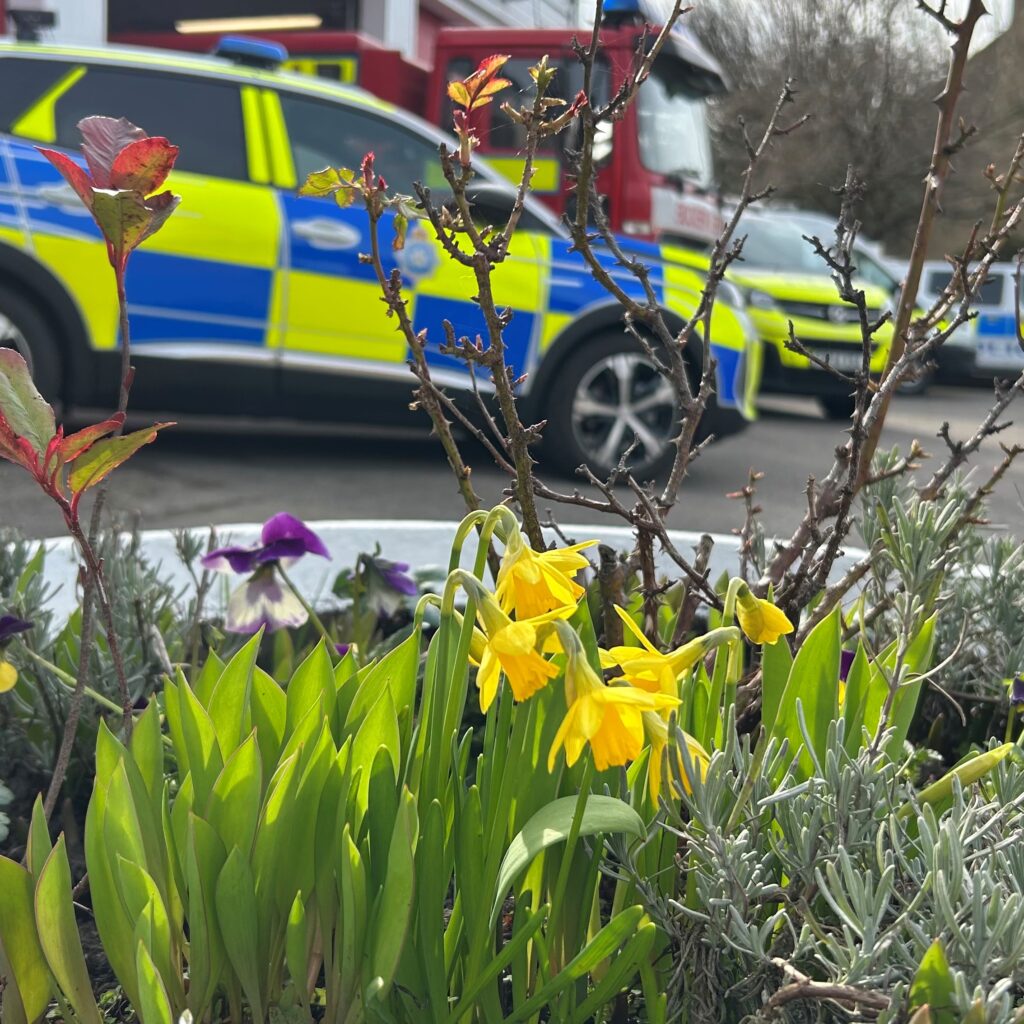 local Guides organisation helped to install outdoor planters